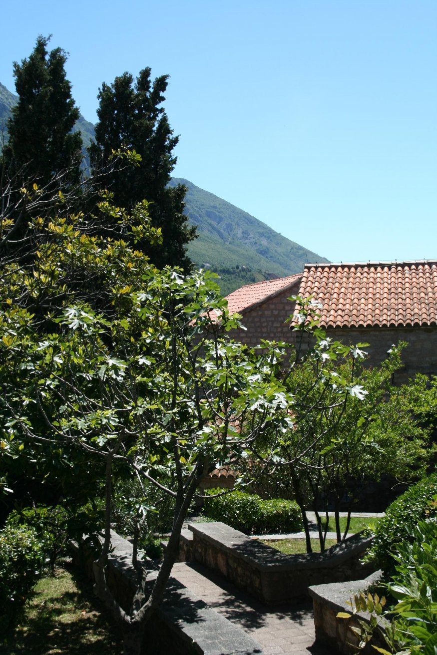 Парк в Святой Стефан, Черногория – фотографии Черногории