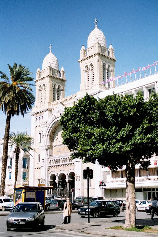 Улица в Северном Тунисе. Фото 39 – фотографии Туниса