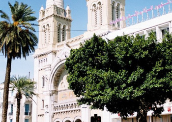 Улица в Северном Тунисе. Фото 39 – фотографии Туниса