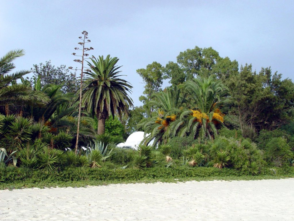 Природа в Северном Тунисе – фотографии Туниса