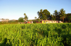 Вити Леву остров, Вити Леву группа островов, Фиджи, фото № 49707 – фотографии Фиджи