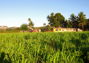 Вити Леву остров, Вити Леву группа островов, Фиджи, фото № 49707 – фотографии Фиджи