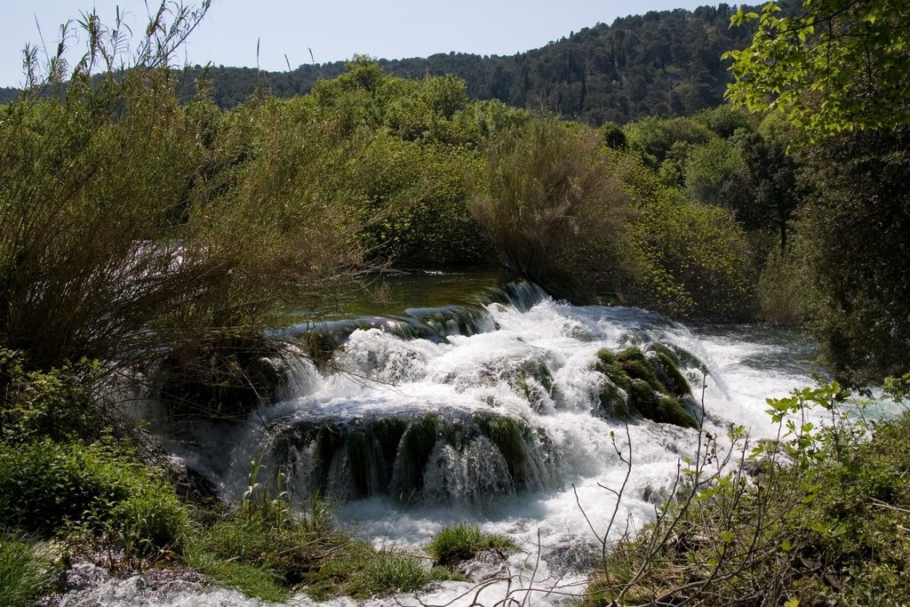 Природа Национального парка, Хорватия. Фото 24 – фотографии Хорватии