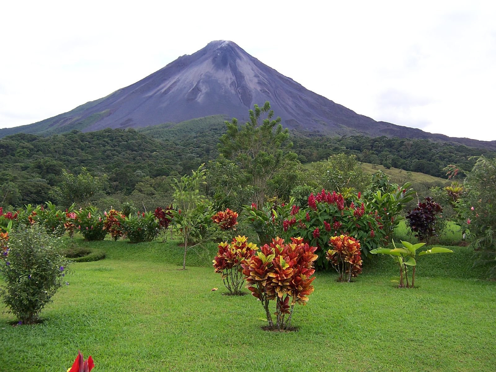 Ареналь Вулкано Национальный Парк, Алахуэла провинция, Коста-Рика, фото № 38905 – фотографии Коста-Рики
