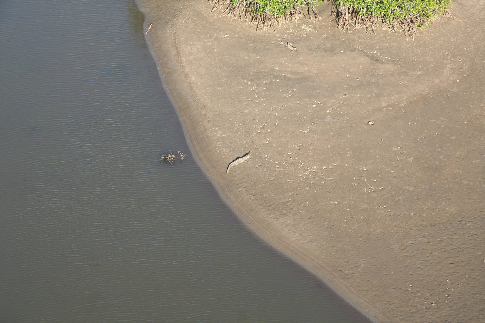 Самара, Гуанакасте провинция, Коста-Рика, фото № 39916 – фотографии Коста-Рики