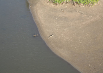 Самара, Гуанакасте провинция, Коста-Рика, фото № 39916 – фотографии Коста-Рики