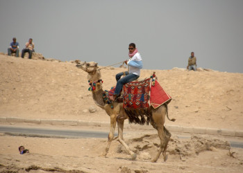 Каир, Египет, фото № 74161 – фотографии Египта