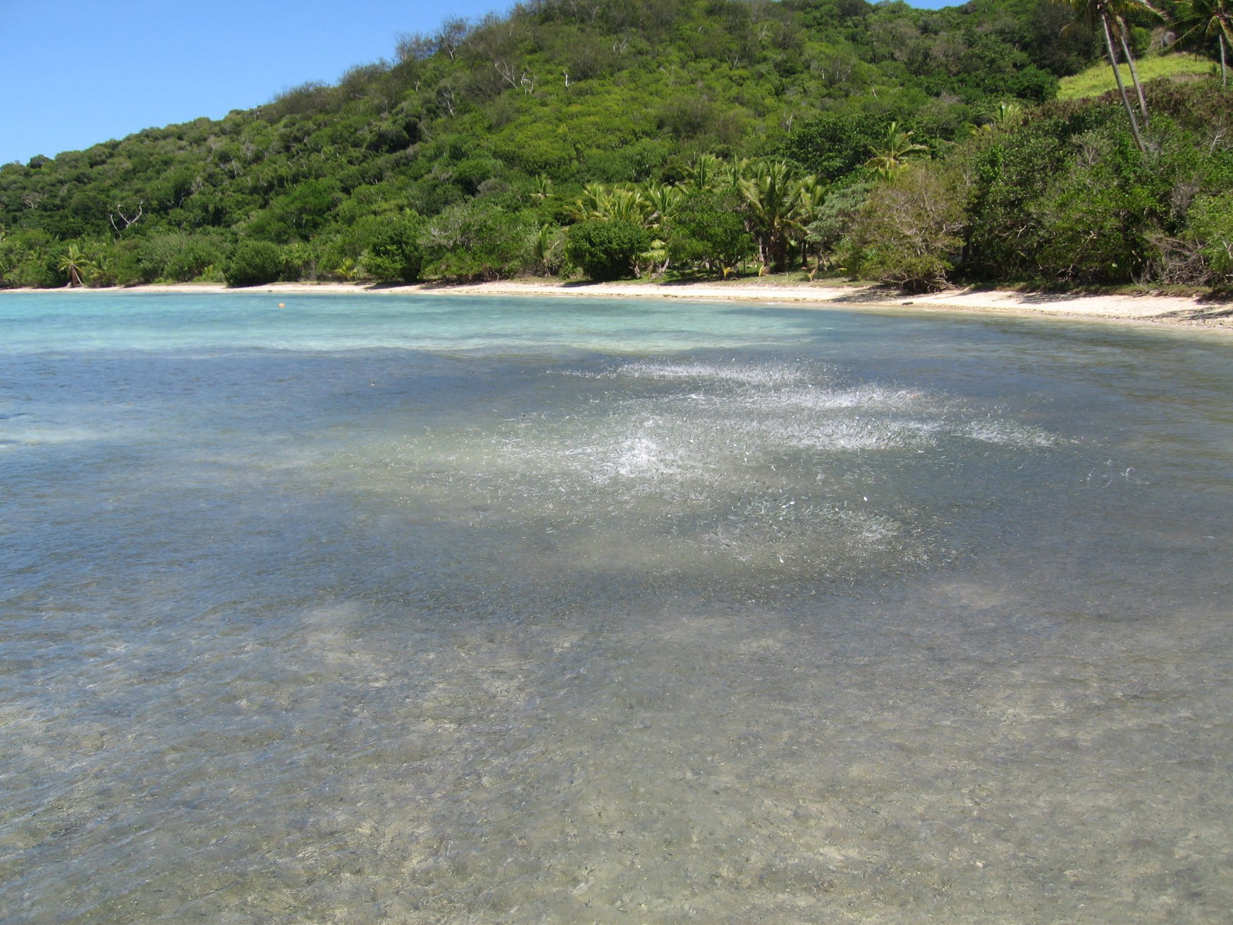 Кастэвей / Квалито остров, Маманука группа островов, Фиджи, фото № 48804 – фотографии Фиджи