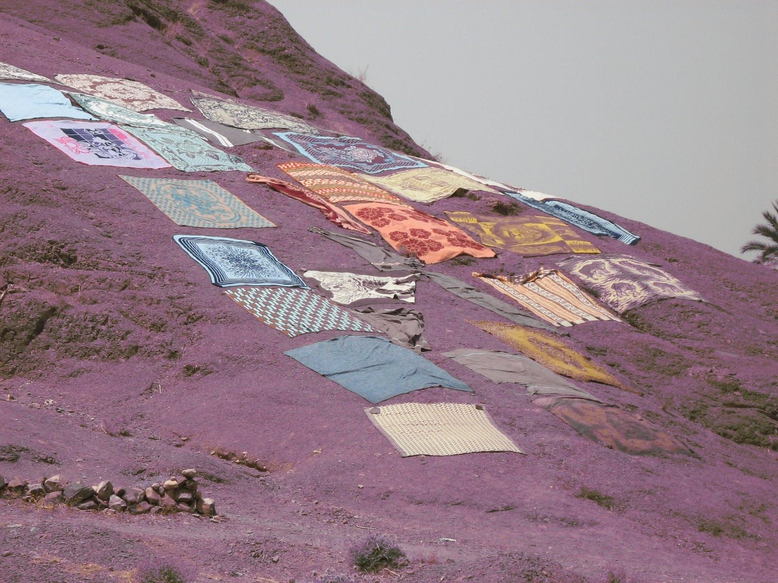 Уарзазат, Марокко, фото № 8351 – фотографии Марокко