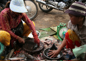 Баттамбанг, Камбоджа, фото № 78313 – фотографии Камбоджи