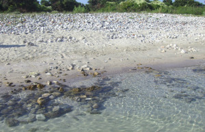 Пляж в Плат, Хорватия. Фото 1 – фотографии Хорватии