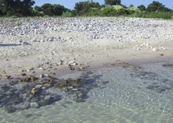 Пляж в Плат, Хорватия. Фото 1 – фотографии Хорватии