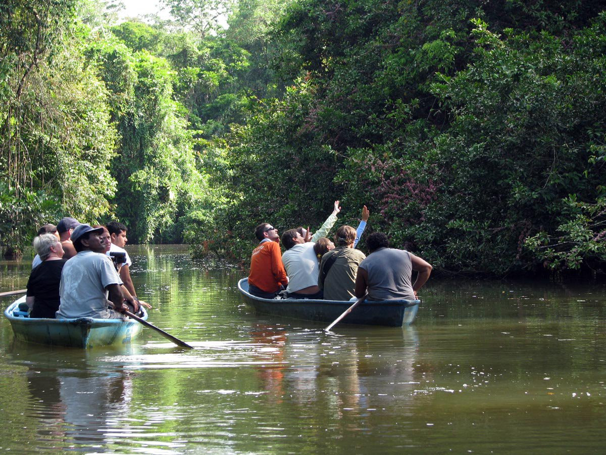 Тортугеро Национальный парк, Лимон провинция, Коста-Рика, фото № 40333 – фотографии Коста-Рики