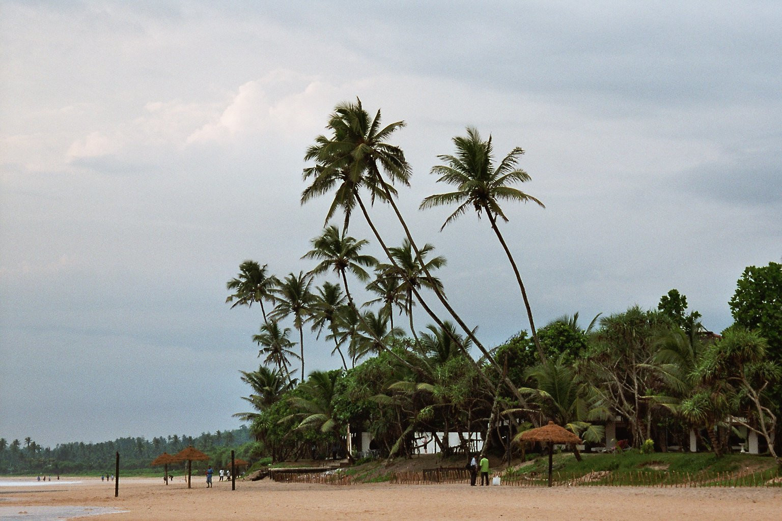 Коггала, Шри-Ланка, фото № 51569 – фотографии Шри-Ланки