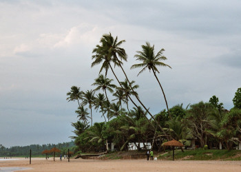 Коггала, Шри-Ланка, фото № 51569 – фотографии Шри-Ланки