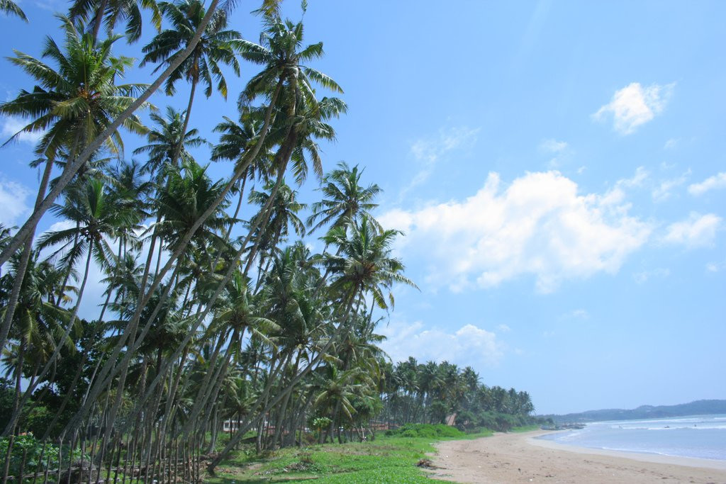 Велигама, Шри-Ланка, фото № 50859 – фотографии Шри-Ланки