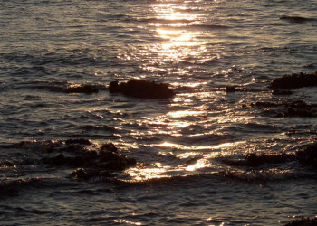 Пафос, Кипр, фото № 38474 – фотографии Кипра