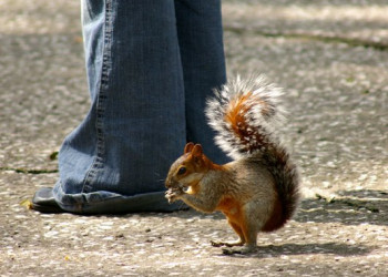 Мехико-Сити, Мексика, фото № 43768 – фотографии Мексики