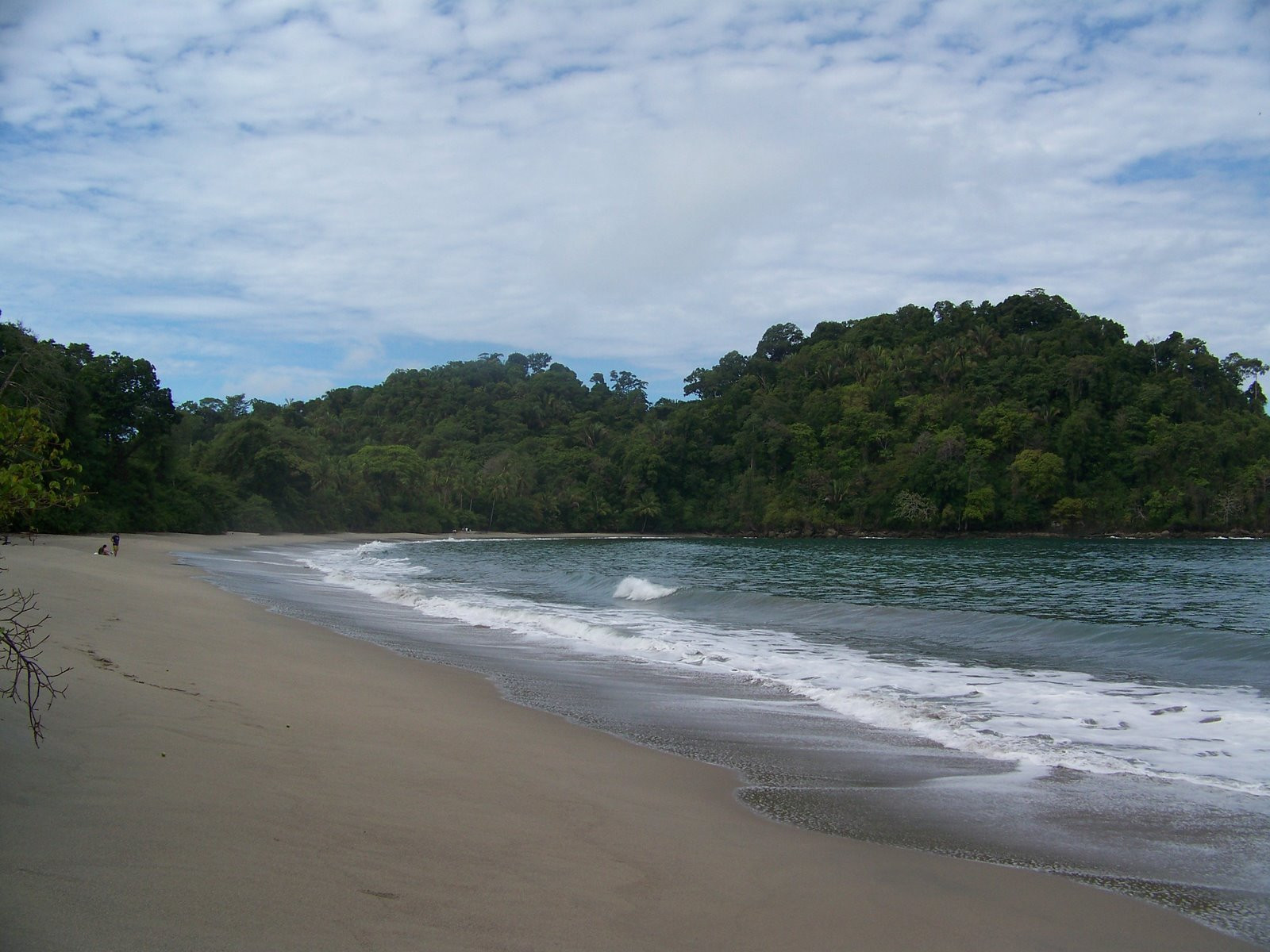 Мануэль Антонио Национальный Парк, Пунтаренас провинция, Коста-Рика, фото № 40695 – фотографии Коста-Рики