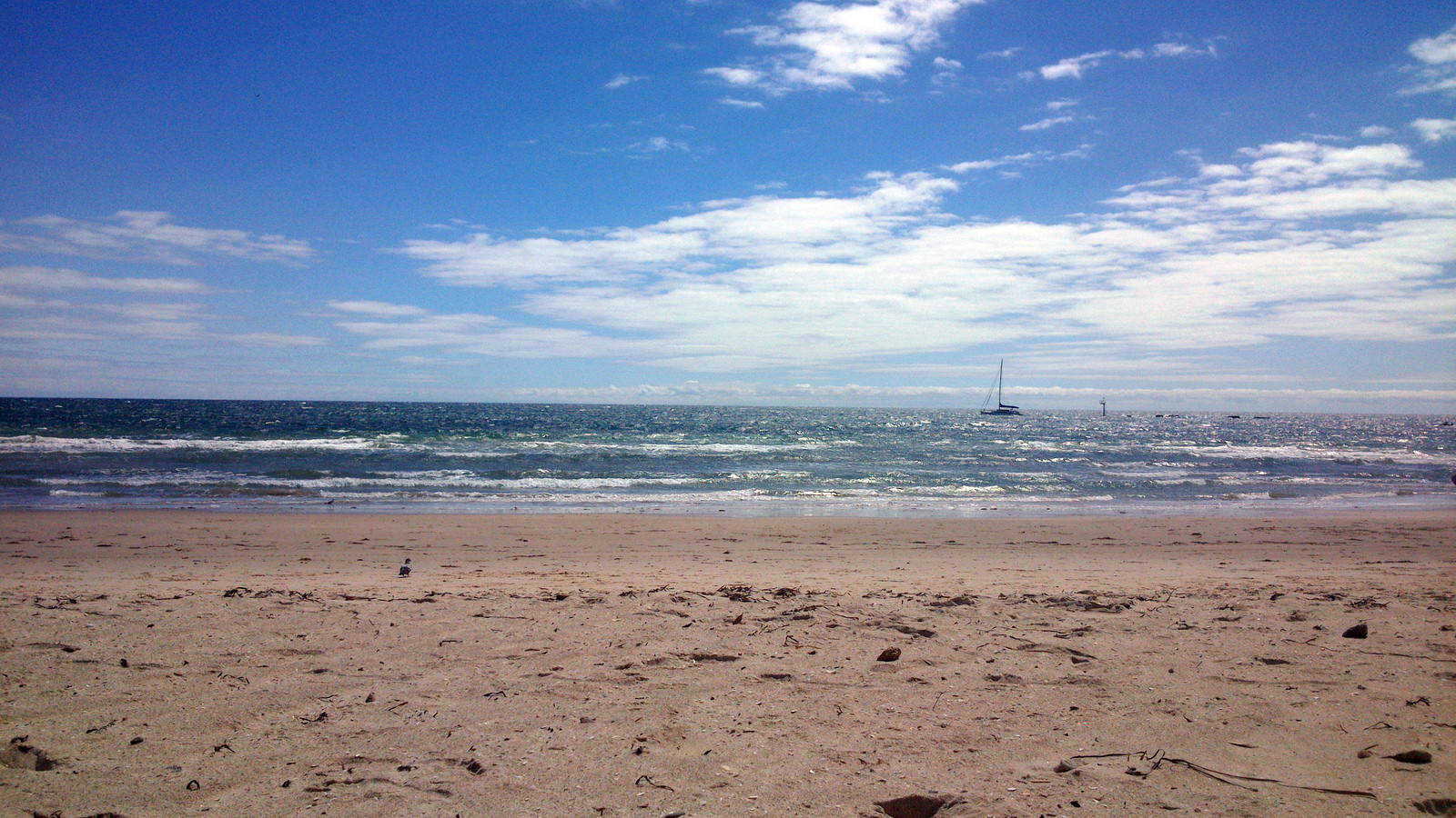 Пляж Гленелг (Glenelg), Аделаида, Австралия. Фото 6 – фотографии Австралии