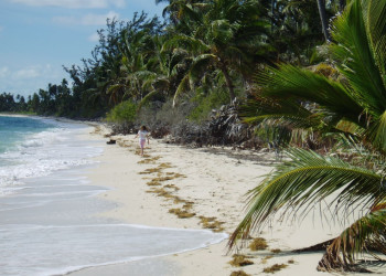 Пляж на острове Андрос, Багамские острова. Фото 15 – фотографии Багамских островов