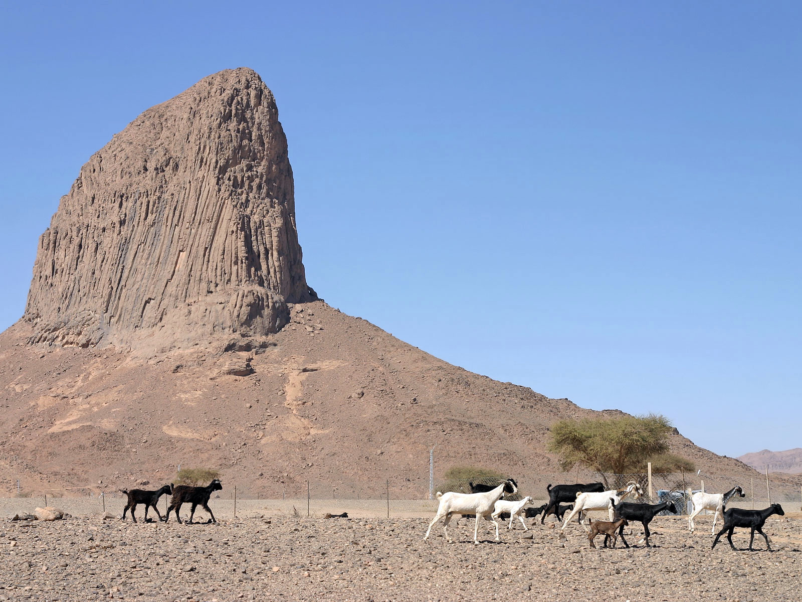 Нагорье Ахаггар, Сахара, Алжир – фотографии Алжира