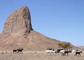 Нагорье Ахаггар, Сахара, Алжир – фотографии Алжира