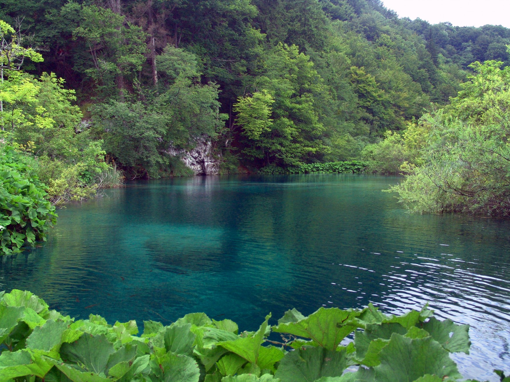Плитвицкое озеро в Национальном парке, Хорватия. Фото 21 – фотографии Хорватии