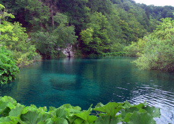 Плитвицкое озеро в Национальном парке, Хорватия. Фото 21 – фотографии Хорватии