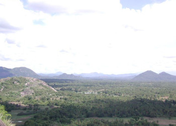 Япахува, Шри-Ланка, фото № 52728 – фотографии Шри-Ланки