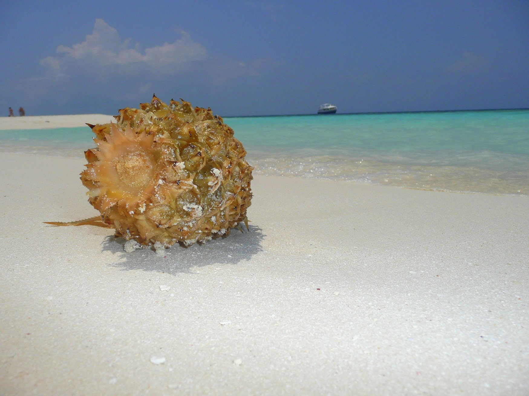 Пляж в Ари Атолле, Мальдивы. Фото 2 – фотографии Мальдивских островов