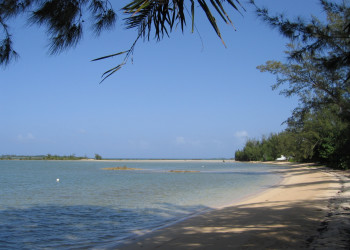 Пляж на острове Андрос, Багамские острова – фотографии Багамских островов