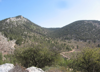 Кипр, фото № 749 – фотографии Кипра