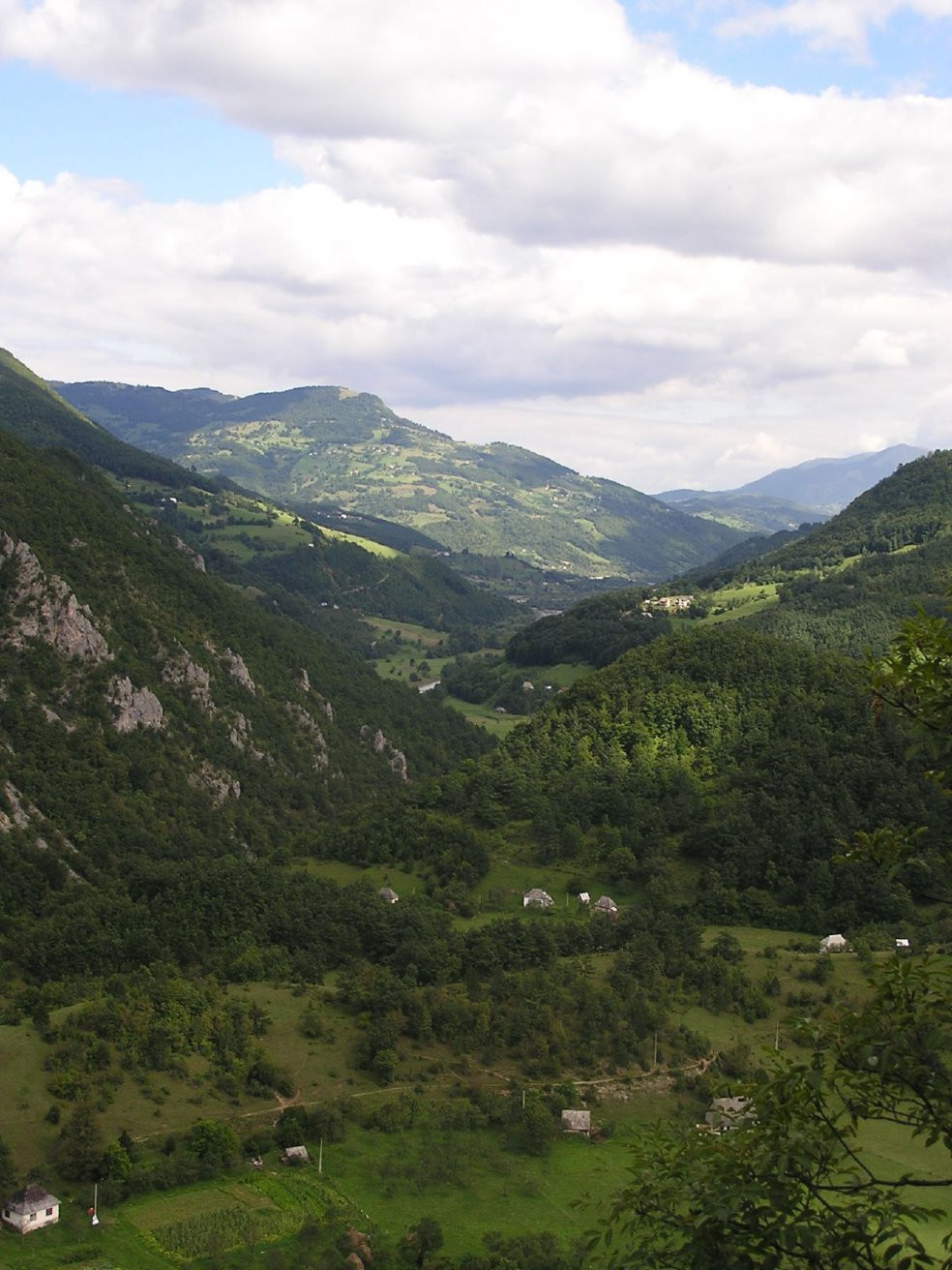 Биоградская гора, Черногория. Фото 13 – фотографии Черногории