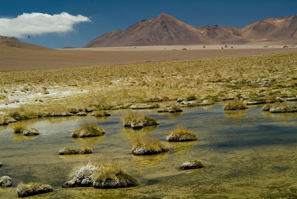 Боливия, фото № 2891 – фотографии Боливии