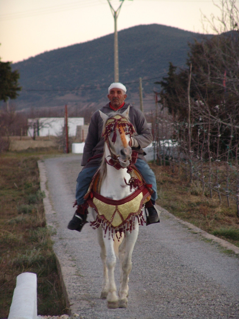 Ифран, Марокко, фото № 7511 – фотографии Марокко