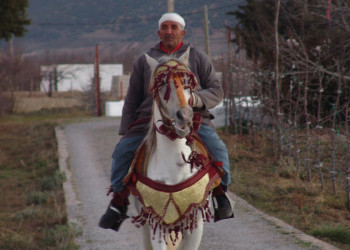 Ифран, Марокко, фото № 7511 – фотографии Марокко