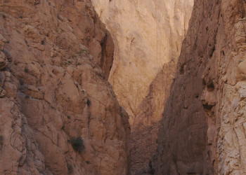 Ущелье Тодра (Todra Gorge), Марокко. Фото 1 – фотографии Марокко