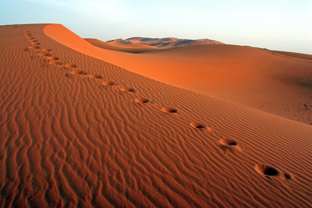 Марокко, фото № 59 – фотографии Марокко