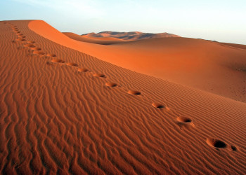 Марокко, фото № 59 – фотографии Марокко