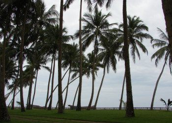 Ваддува, Шри-Ланка, фото № 50772 – фотографии Шри-Ланки