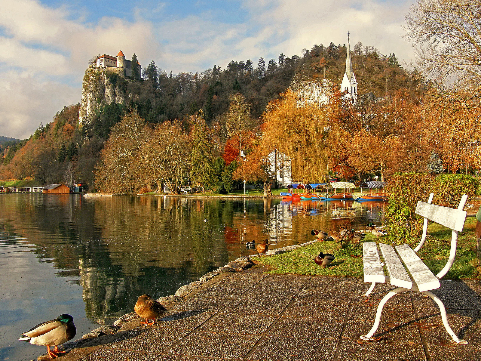 Бледское озеро (Blejsko jezero), Словения. Фото 5 – фотографии Словении