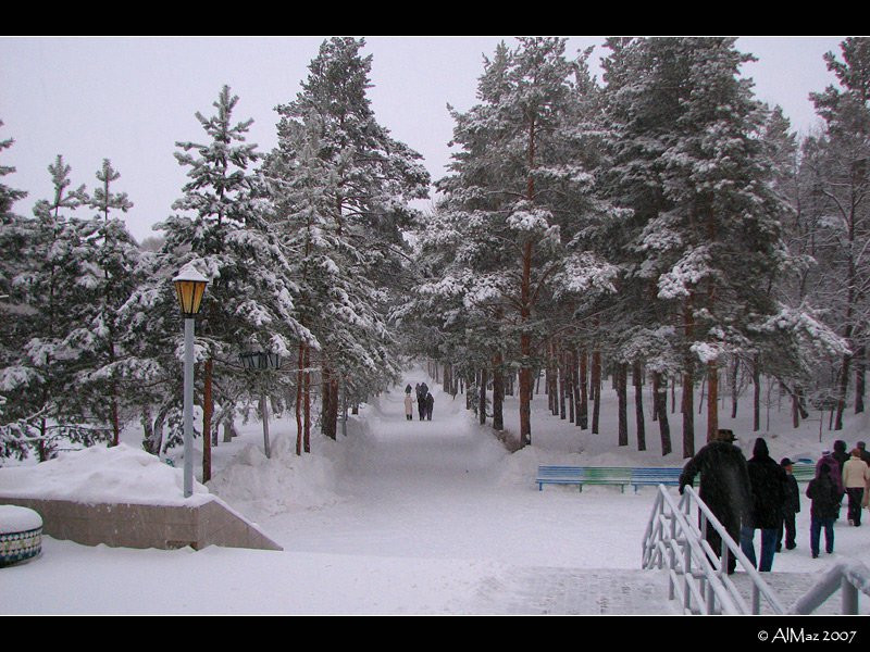 Парк в Шмаковке, Россия – фотографии России