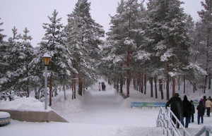 Парк в Шмаковке, Россия – фотографии России