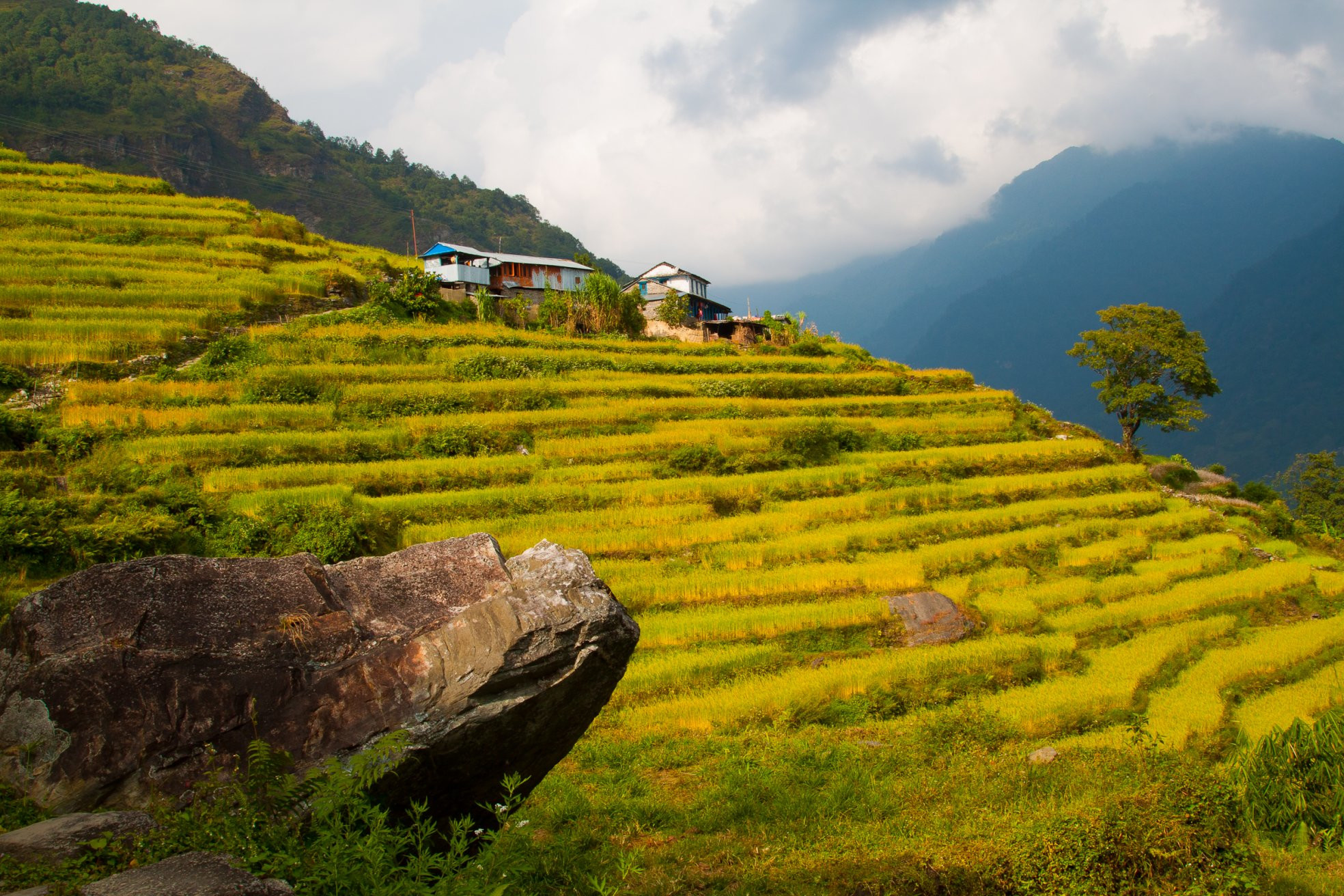 Аннапурна заповедник, Непал, фото № 78890 – фотографии Непала