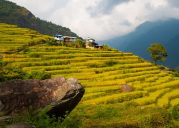 Аннапурна заповедник, Непал, фото № 78890 – фотографии Непала