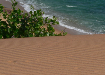 Яла Национальный Парк, Шри-Ланка, фото № 52640 – фотографии Шри-Ланки