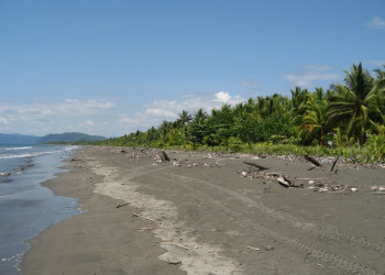 Плайа Занкудо, Пунтаренас провинция, Коста-Рика, фото № 40910 – фотографии Коста-Рики