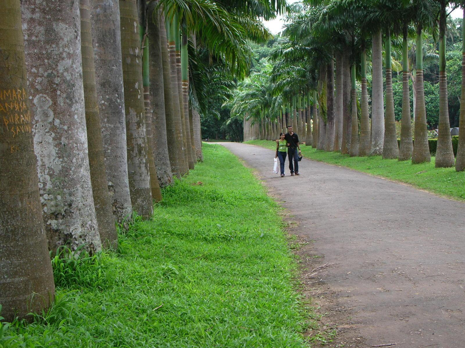 Канди, Шри-Ланка, фото № 51347 – фотографии Шри-Ланки