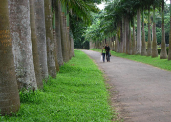 Канди, Шри-Ланка, фото № 51347 – фотографии Шри-Ланки